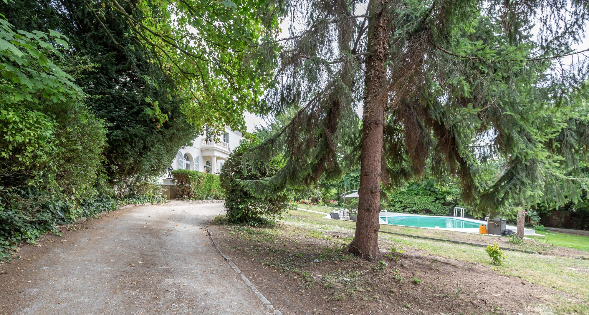 Allée du parc bordée de grands arbres